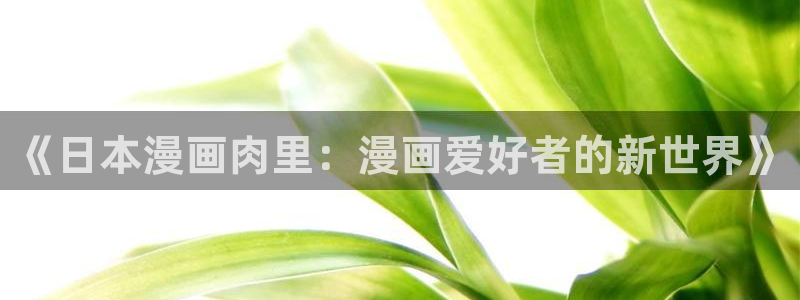 与神相拥贝勒漫画：《日本漫画肉里：漫画爱好者的新世界》