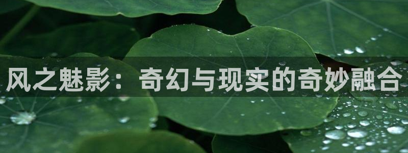 水边之夜贝勒漫画下拉式：风之魅影：奇幻与现实的奇妙融合