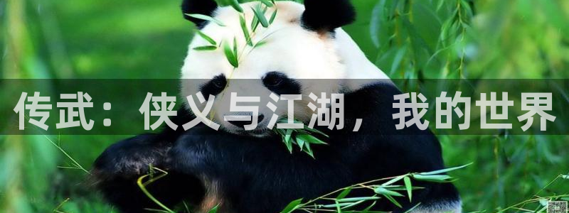 unsleep贝勒漫画：传武：侠义与江湖，我的世界