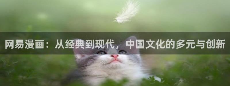 贝勒漫画全部漫画：网易漫画：从经典到现代，中国文化的多元与创新