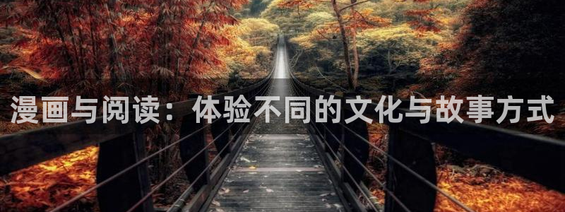 暗秋贝勒漫画：漫画与阅读：体验不同的文化与故事方式