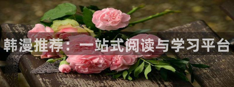 贝勒漫画排行榜全部：韩漫推荐：一站式阅读与学习平台