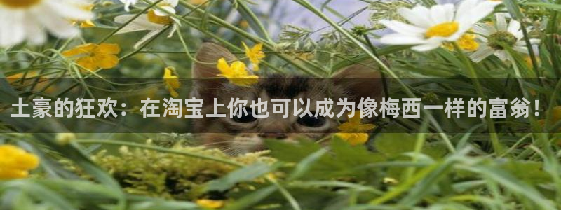 贝勒漫画注册入口：土豪的狂欢：在淘宝上你也可以成为像梅西一样的富翁！