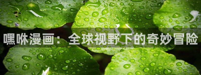 贝勒漫画妄想的边界：嘿咻漫画：全球视野下的奇妙冒险