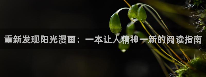 《共享弟夫》贝勒漫画