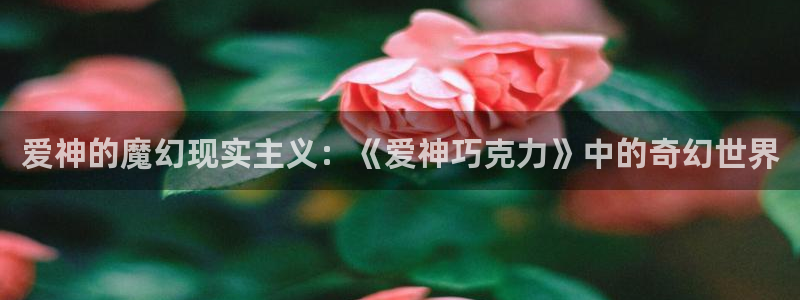 用户注册-贝勒漫画