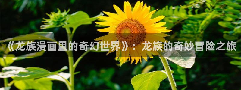 贝勒漫画为什么打不开