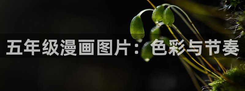 贝勒漫画登录页面：五年级漫画图片：色彩与节奏