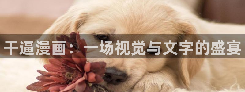 贝勒漫画正版入口：干逼漫画：一场视觉与文字的盛宴