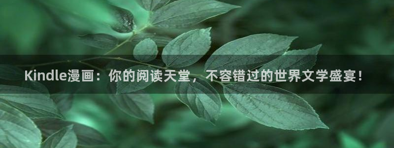 恶人想要抢救一下贝勒漫画：Kindle漫画：你的阅读天堂，不容错过的世界文学盛宴！