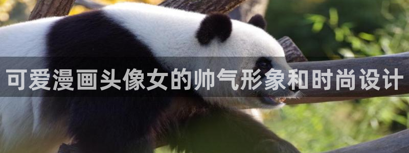 贝勒漫画免费：可爱漫画头像女的帅气形象和时尚设计