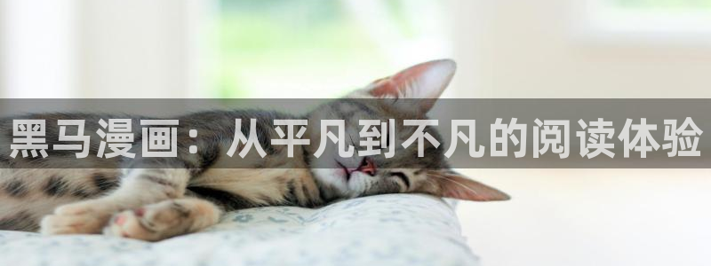 贝勒漫画软件：黑马漫画：从平凡到不凡的阅读体验