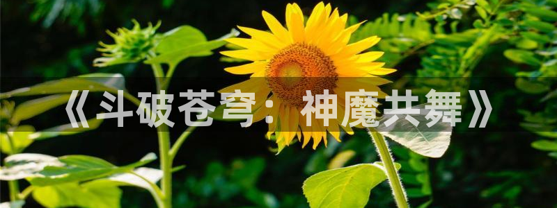 漫画更新周期表贝勒漫画：《斗破苍穹：神魔共舞》