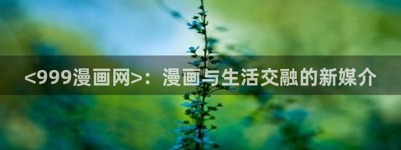 贝勒漫画 分类：<999漫画网>：漫画与生活交融的新媒介