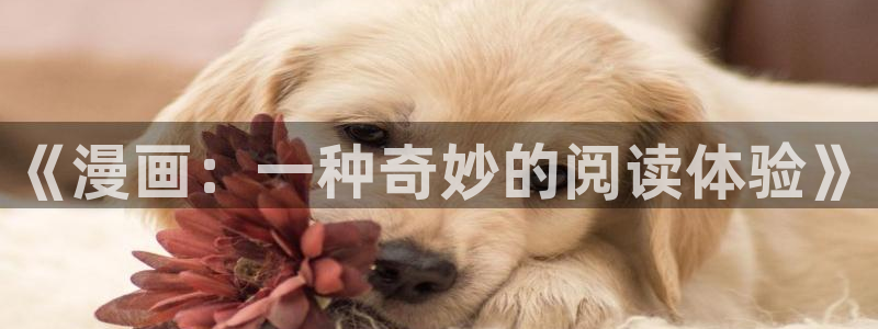 贝勒漫画网站免费观看：《漫画：一种奇妙的阅读体验》