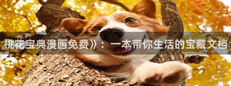 贝勒漫画周期表：桃花宝典漫画免费》：一本带你生活的宝藏文档
