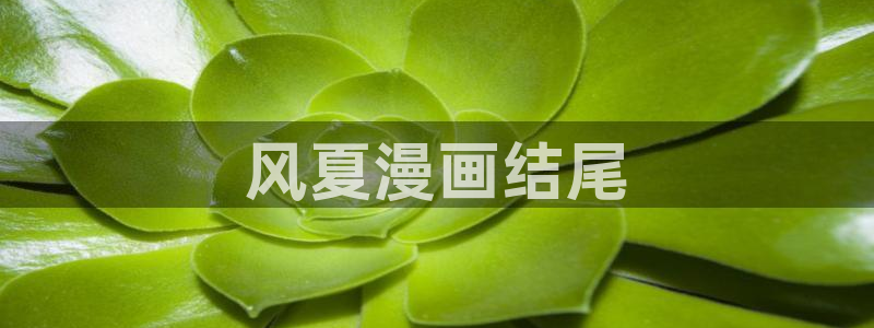 贝勒漫画(免费)：风夏漫画结尾