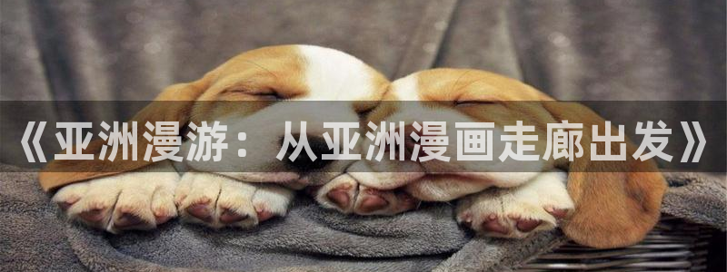 贝勒漫画官网网页：《亚洲漫游：从亚洲漫画走廊出发》